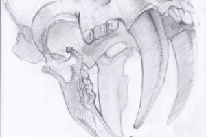 Саблезубый тигр