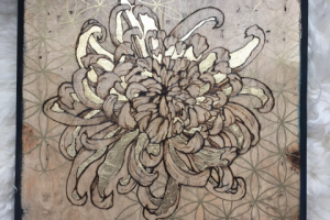 Хризантема