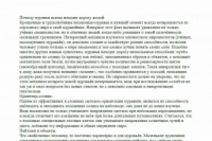 Работа 2556818