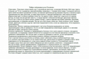 Работа 2554176