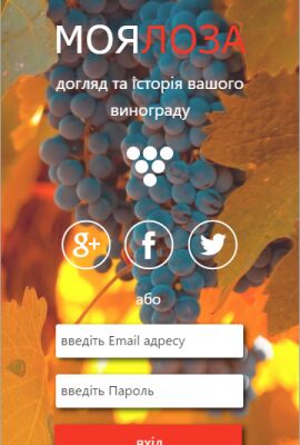 img3208341.png
