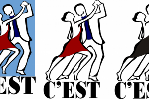 Фирменный стиль для танцевальной студии.Логотип в трех вариантах