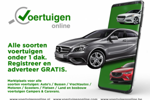 Флаер для рекламы сайта