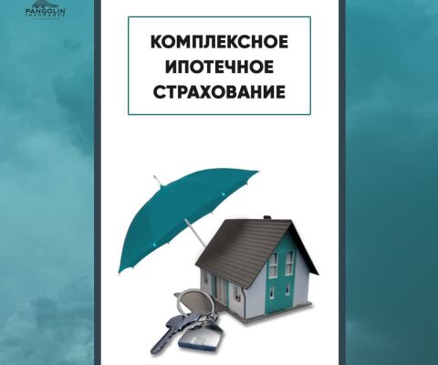 img4028487.png