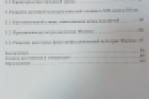 Дипломная работа. Москва XIX-началаXXвв. как столичный город