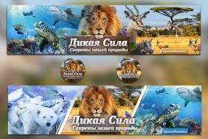 Обложка ВК Дикая сила. 2 варианта