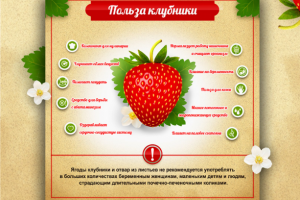 Инфографика