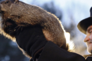 It’s Groundhog Day... Again
