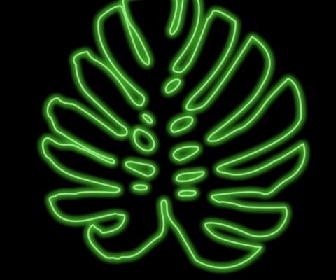img4057825.png