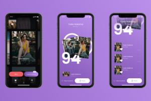 ICON: Функционал совместимости