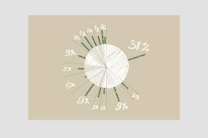 одна диаграмма для 3 разных брендов (Старбакс)