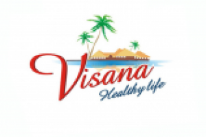 логотип для компании Visana