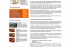 Сайт компании KAFE SOFT