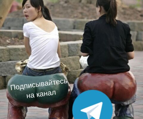 img3698843.png