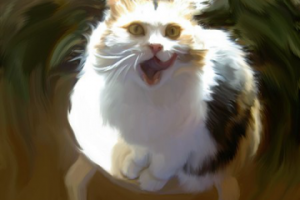 Фотообработка