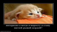 img1931856.png