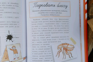 "Ума палата" - Издательский Дом Мещерякова - дизайн макета книги