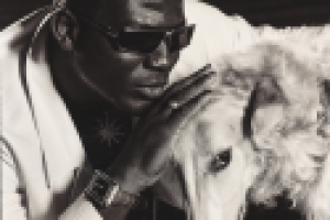 Работа 3056823