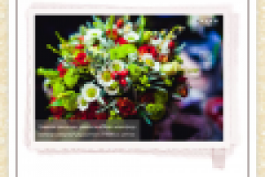 Доработка сайта "Sharf Event"