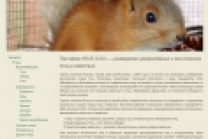 Доработка сайта "RusZoo"