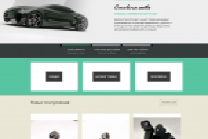 Аудит сайта "Carolina Auto"