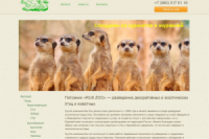 Продвижение сайта rus-zoo.ru