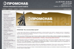 Продвижение сайта promsnab64.ru