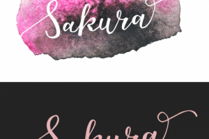 ребрендинг логотипа САКУРЫ