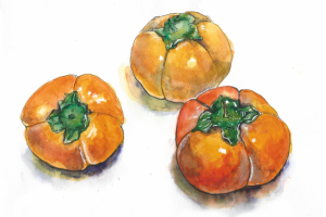 Фуд иллюстрации акварель фрукты