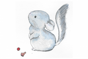 Шиншилла малыш - акварельная зарисовка