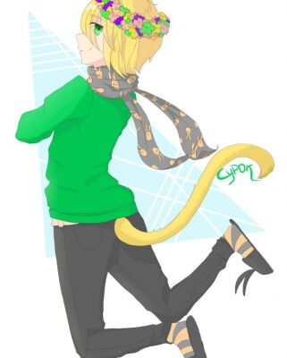img3180294.png