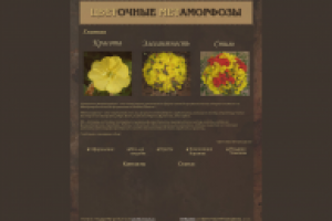 Цветочные Метаморфозы