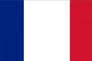 Перевод на французский