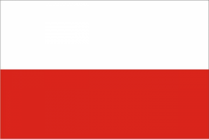 Перевод на польский