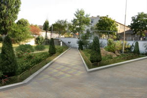 Работа 3627823