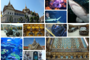 Работа 2531017