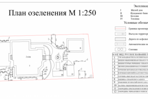 дендроплан