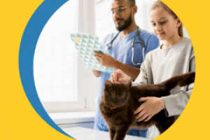 Рекламный макет ветеринарной клиники