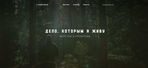 img3370570.png