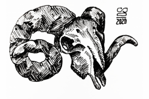 Эскиз черепа барана