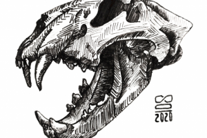 Эскиз черепа хищника