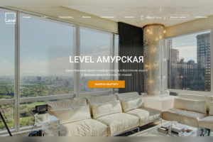 LEVEL Амурская