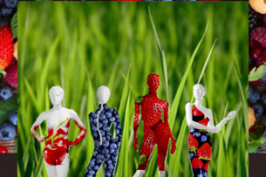 концепт фирменного стиля для магазина натуральных продуктов