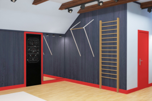 спорт зал на мансардном этаже частного дома