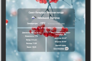 Местная погода