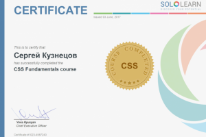 Сертификат CSS