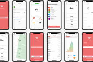 Приложение для изучения иностранных слов