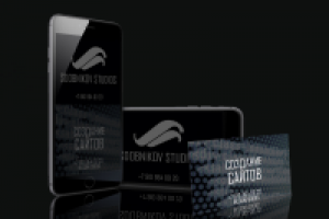 Визитная карточка Sdobnikov Website