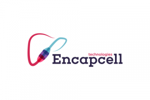 Encapcell (искусственная печень)