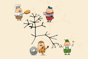 Эволюция дрожжей